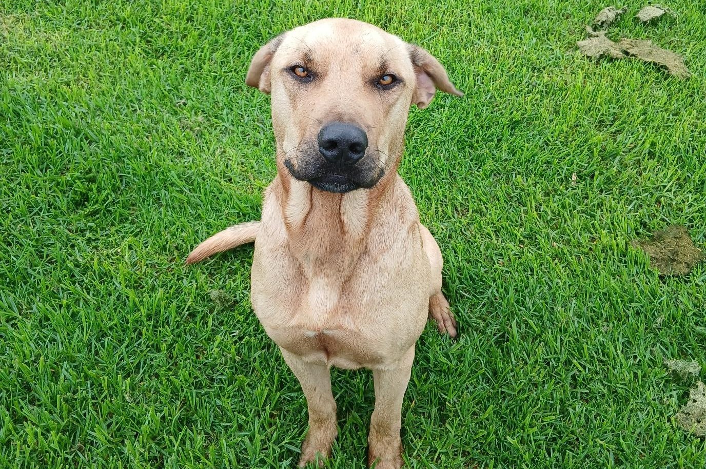 Kaipara Feature box image